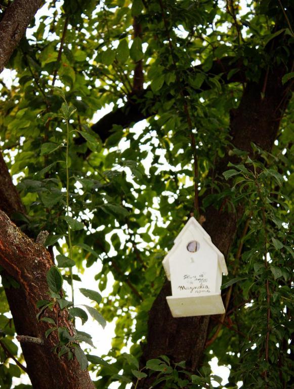 Villa Magnolia Relais Rome Exterior photo